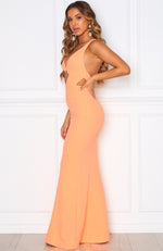 Cannes Gown Peach