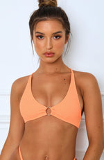 Sun Fizz Bikini Top Sherbet